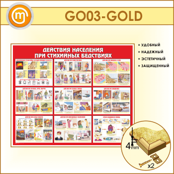 ����� ��������� ��������� ��� ��������� ���������� (GO-03-GOLD)