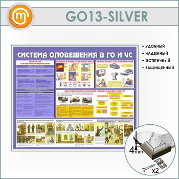 ����� �������� ���������� � �� � �ѻ (GO-13-SILVER)