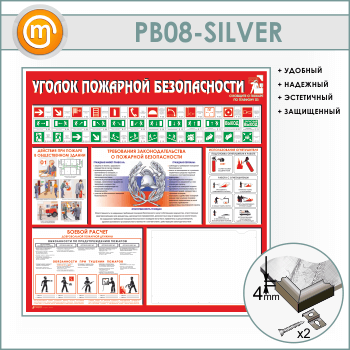 ����� ������� �������� ������������ � �������� �3 ������� (PB-08-SILVER)