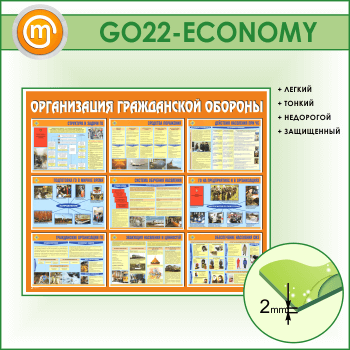 ����� ������������ ����������� �������� (GO-22-ECONOMY)