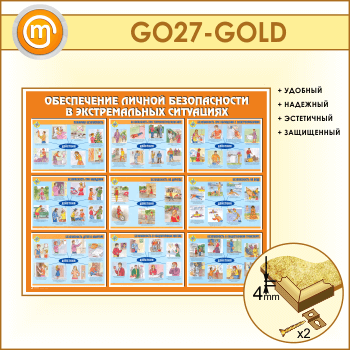����� ������������ ������ ������������ � ������������� ���������� (GO-27-GOLD)