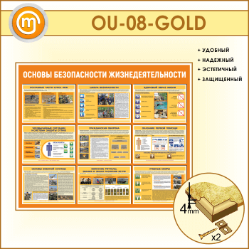 ����� ������� ������������ ����������������� (OU-08-GOLD)