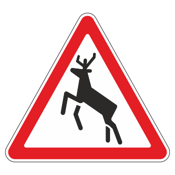 �������� ���� 1.27 ������ �������� (������ 0,8 ��, III ����������: ������� 1200 ��, �/� ������: ��� � �����������������)