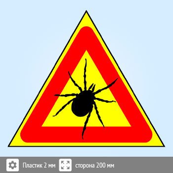 ���� �������! �����, B100 (�������, ������� 300 ��)