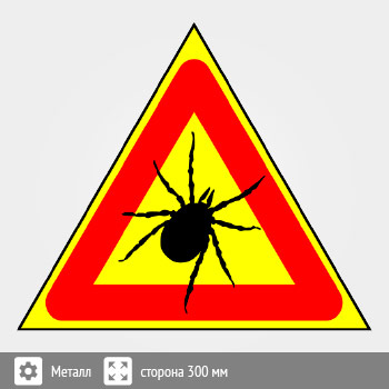 ���� ������, B98 (������, ������� 200 ��)