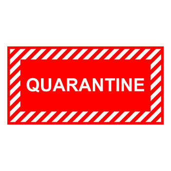 ���� ����������, Q12.4