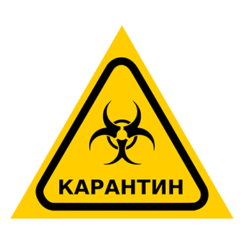 ���� ����������, Q13.6 (������, ������� 200 ��)