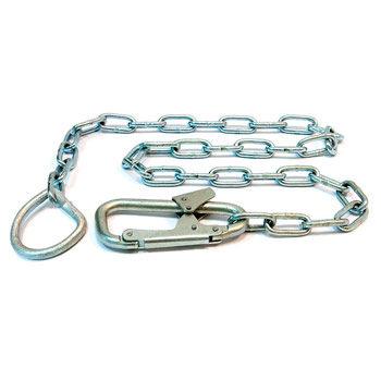 ����� � �� ���� (1,5 �.) � ���������