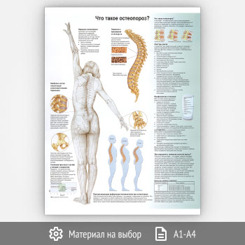 ������ ���� ����� ����������?� (���-02, 1 ����)