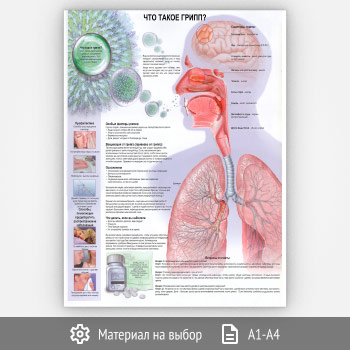 ������ ���� ����� �����?� (���-41, 1 ����)